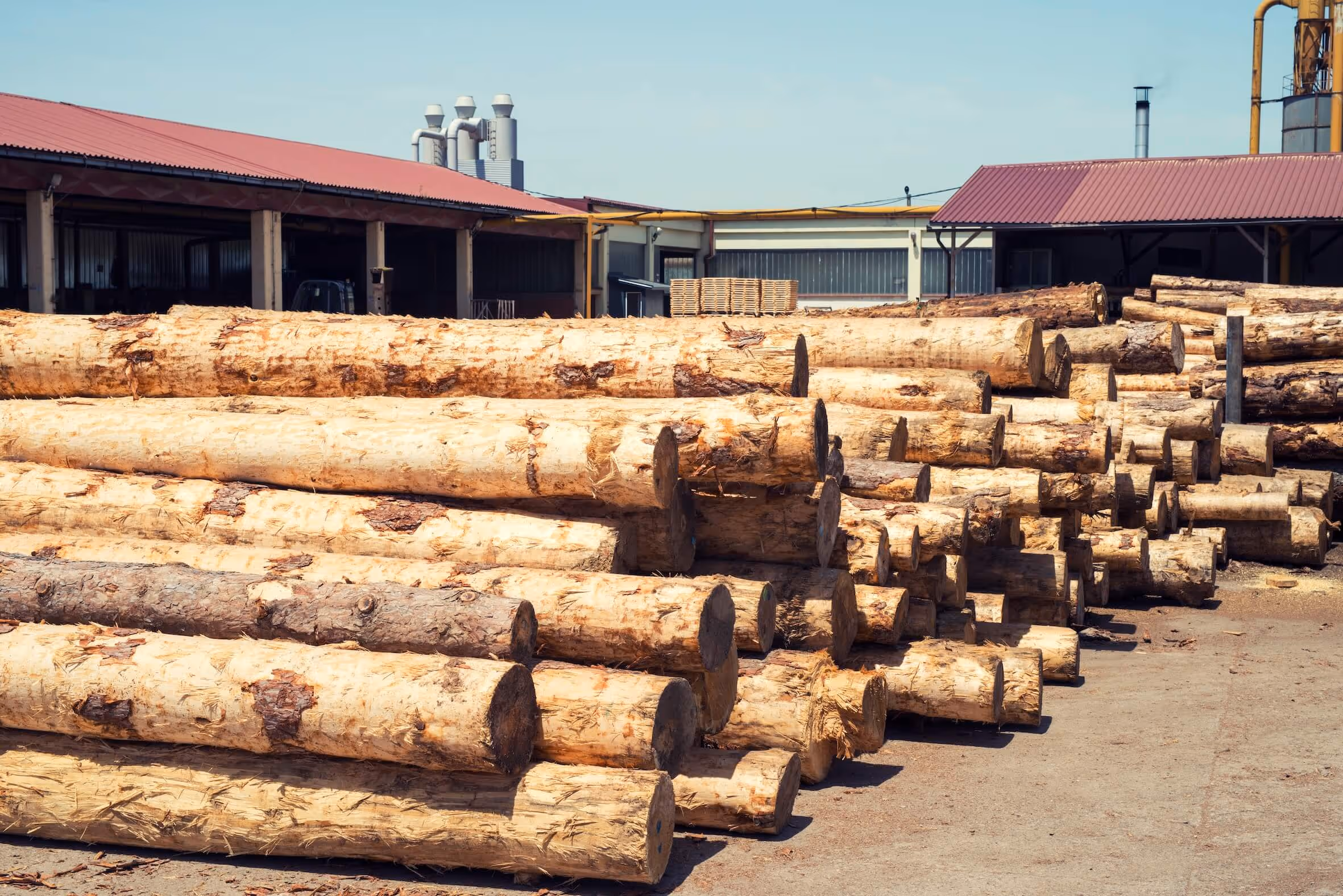 Timber Traceability