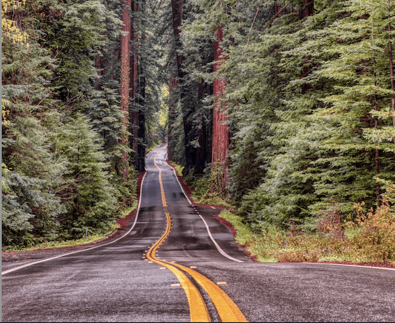 road forward