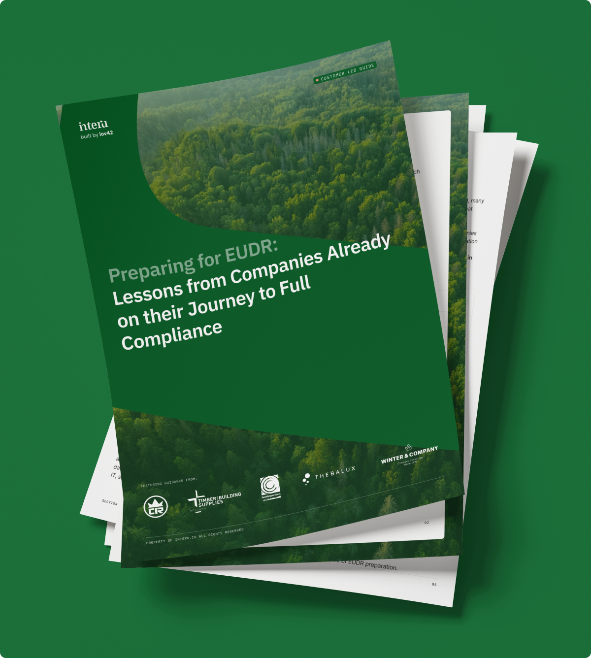 Preparing for EUDR: What Companies Are Learning on the Path to Compliance