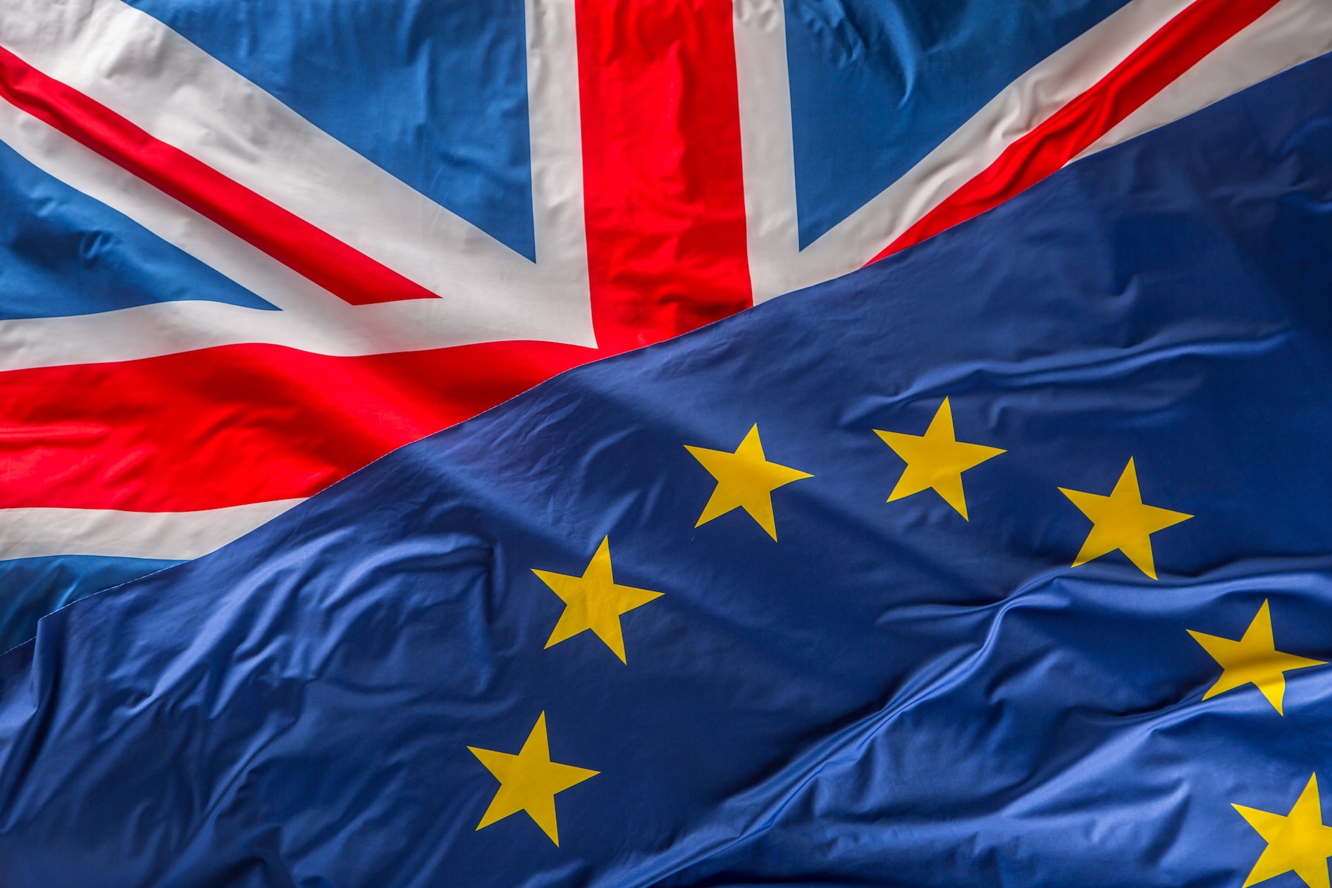 What the EU Deforestation Regulation means for your UK business