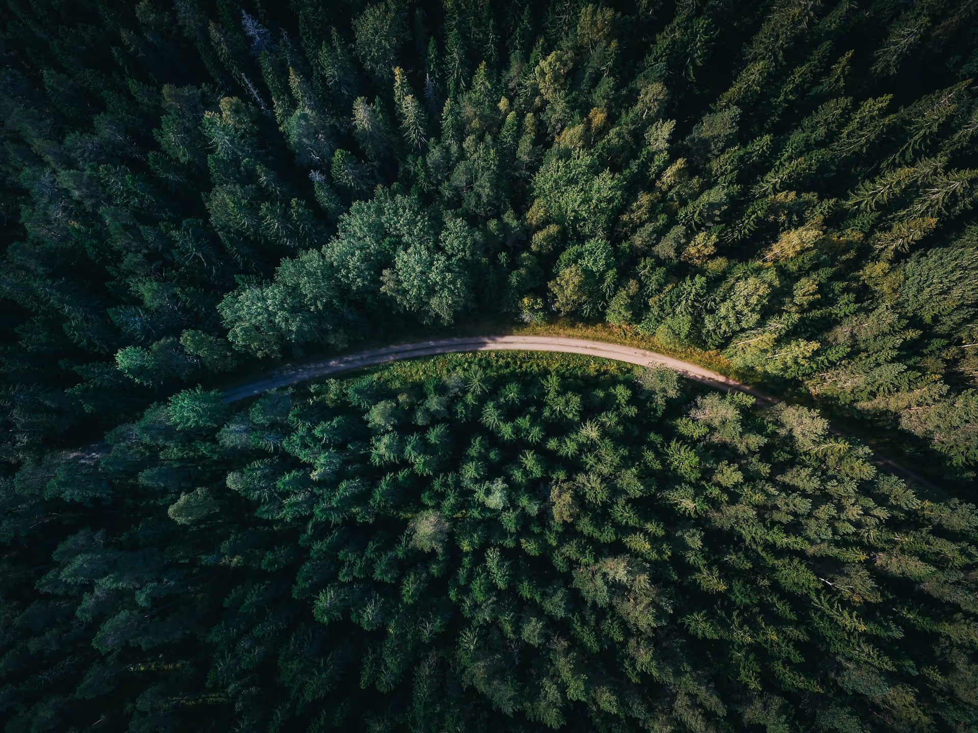 Deforestation Regulation Readiness Report 