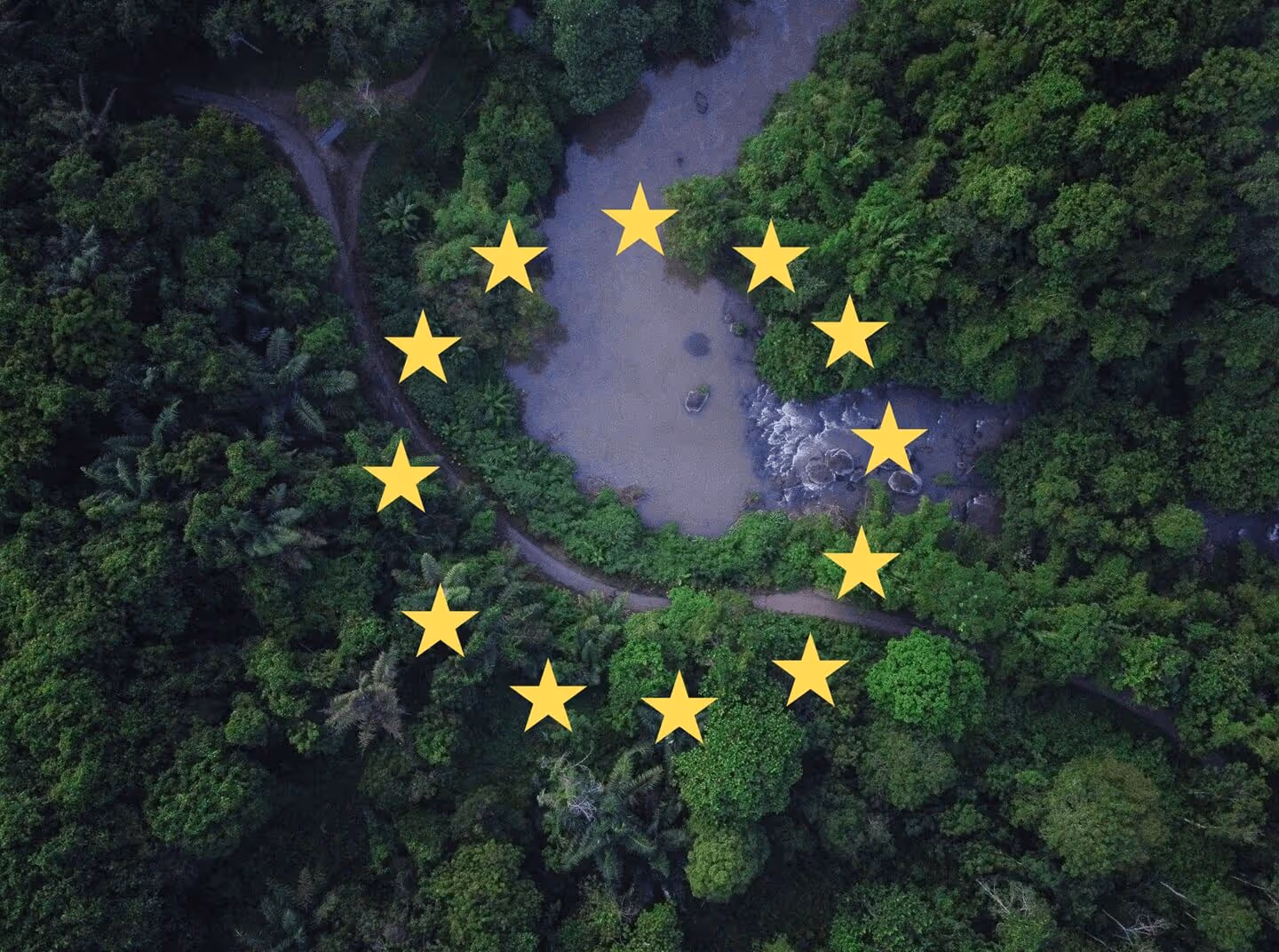 Your Path to EUDR Compliance: A Focus on Traceability