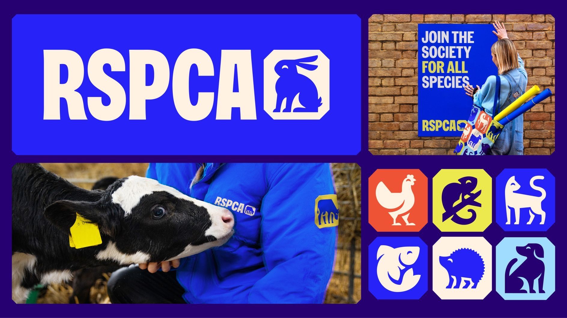 JKR overhauls RSPCA’s identity to align with its newly defined purpose | Creative Boom