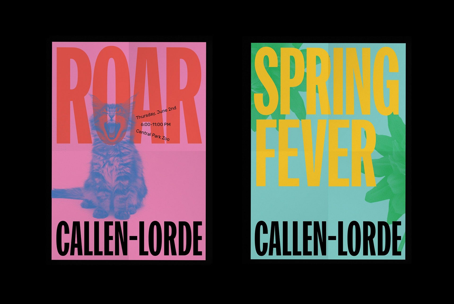 Callen-Lorde Identity - Mindsparkle Mag