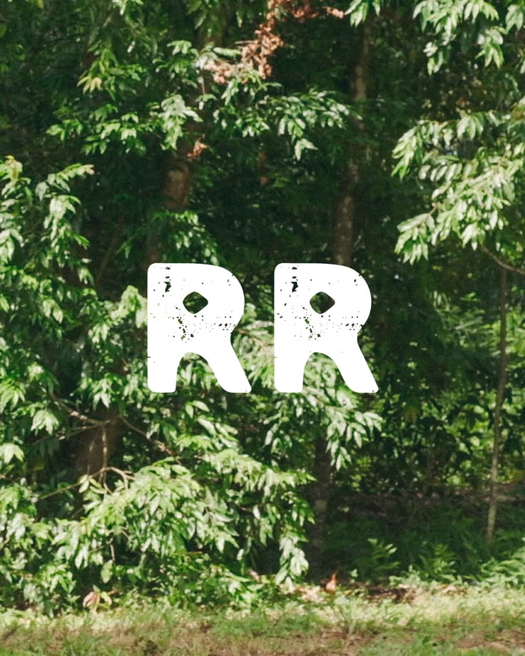 Rustic Rishi is a food brand built on a simple idea: cooking with love, and reconnecting people with the food they eat. The heart was there. The look was distinctive. But without a system holding it together, every new asset started from scratch and 
