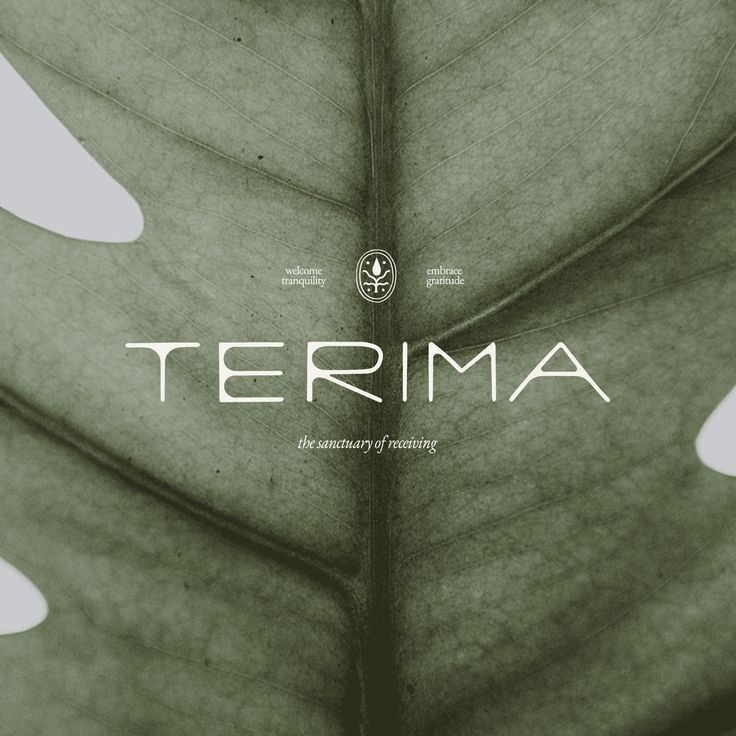 Terima wordmark over a close-up of a green leaf with the sanctuary of nothing tagline