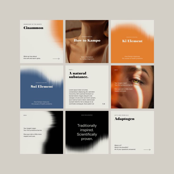 Ipsum Alii Packaging and Social Media Post Design on Behance