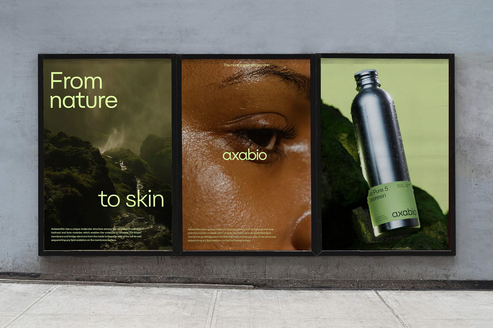 Axabio (16) | Images :: Behance