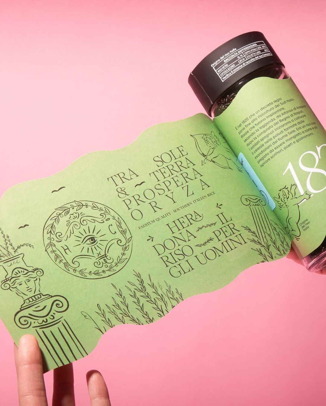 Hands unrolling a sage green printed label sheet with engraved crests on a pink ground