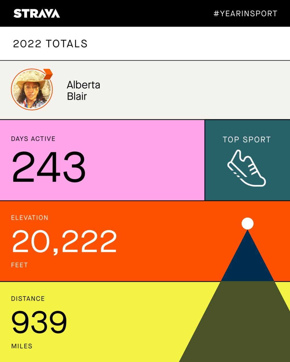 Strava Year in Sport summary card — 243 days active, 20,222 feet of elevation and 939 miles, in blocks of pink, teal, orange and yellow