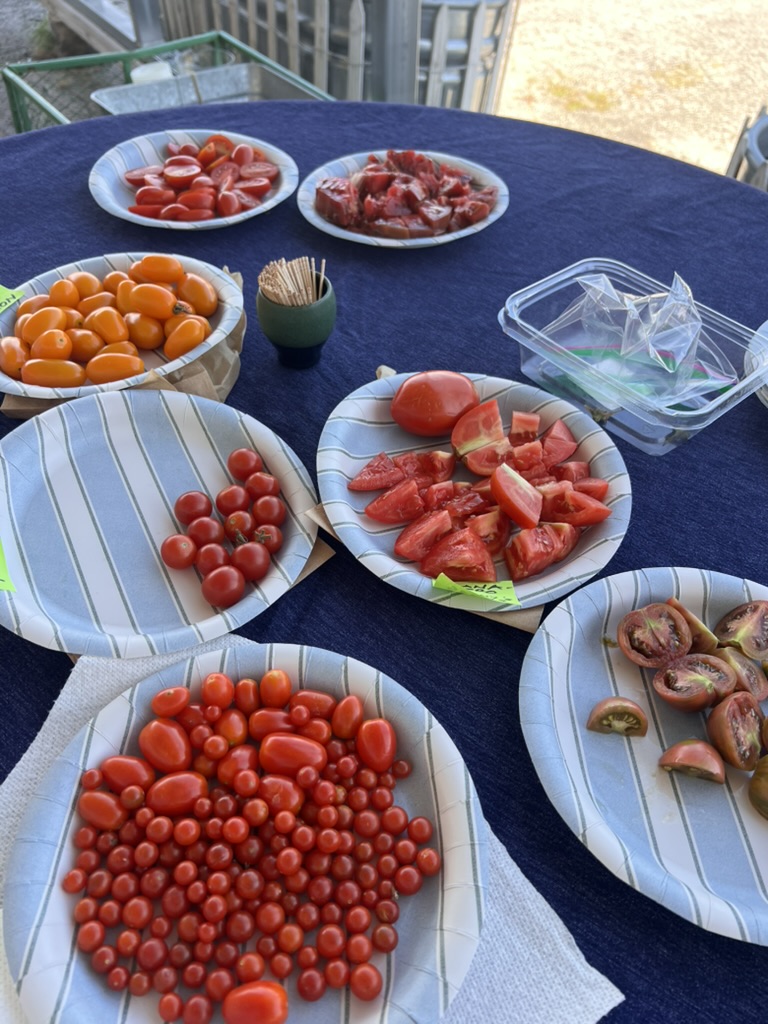 LHCG Tomato Palooza