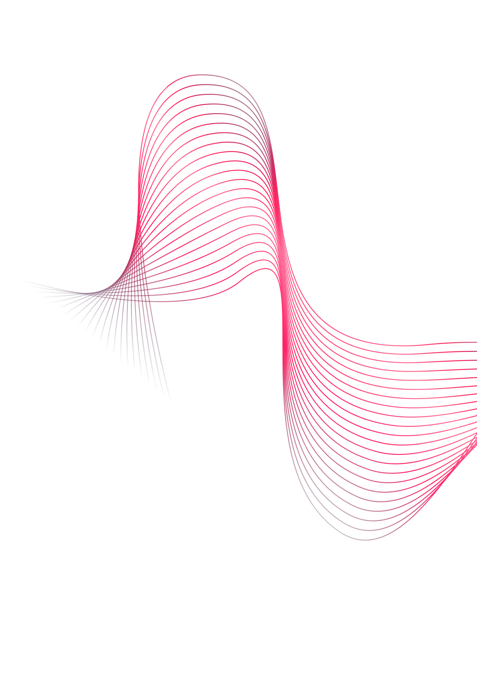 Abstract wave formed by connected pink and purple curved lines on a black background.