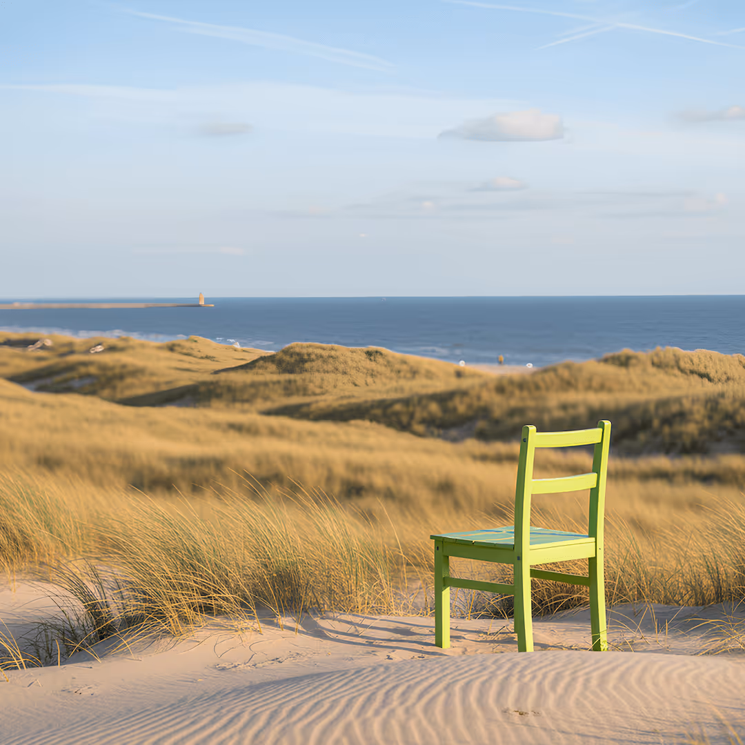De veertien routes naar Rechten van de Natuur