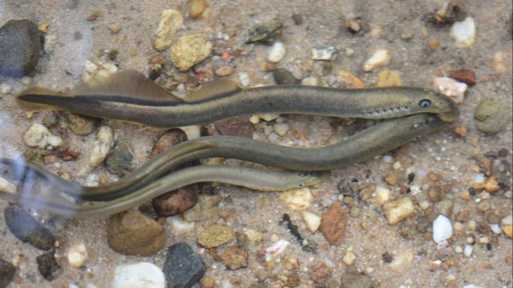 Een juridisch dilemma uit de praktijk