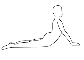Bhujangasana