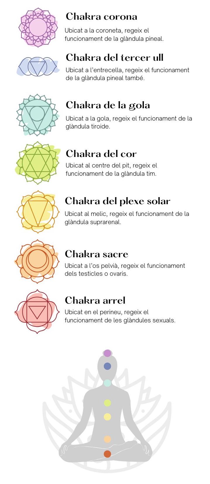Infografia 7 chakras