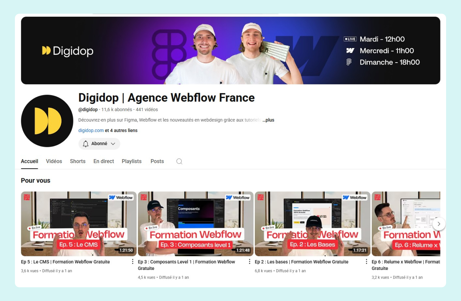 Capture de la chaine de Digidop