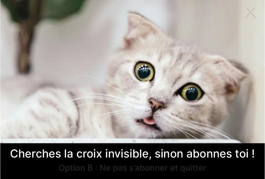 Chat très mignon dans une pop up qu'on peut difficilement fermée : un exemple de dark pattern