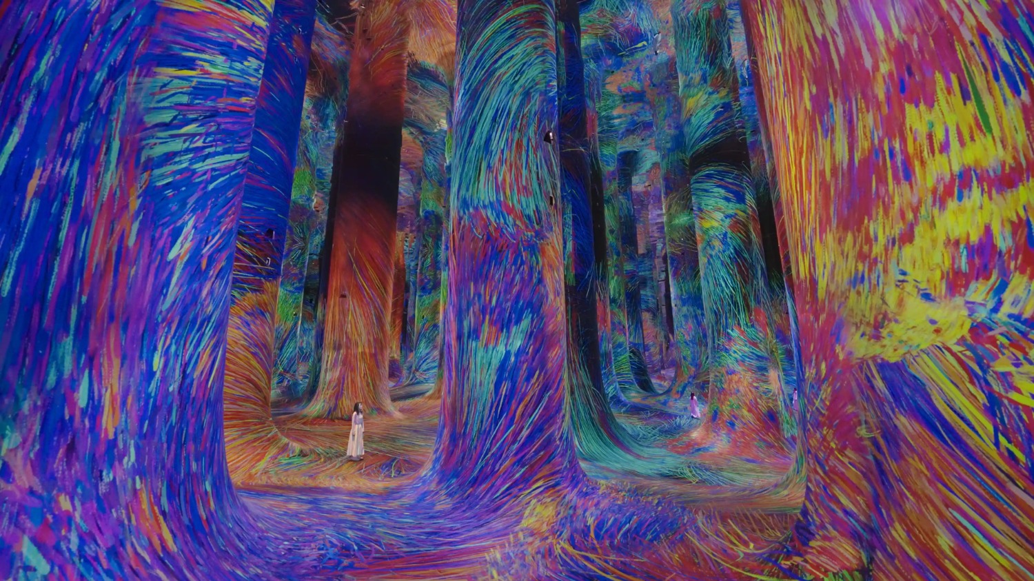 Teamlab Phenomena