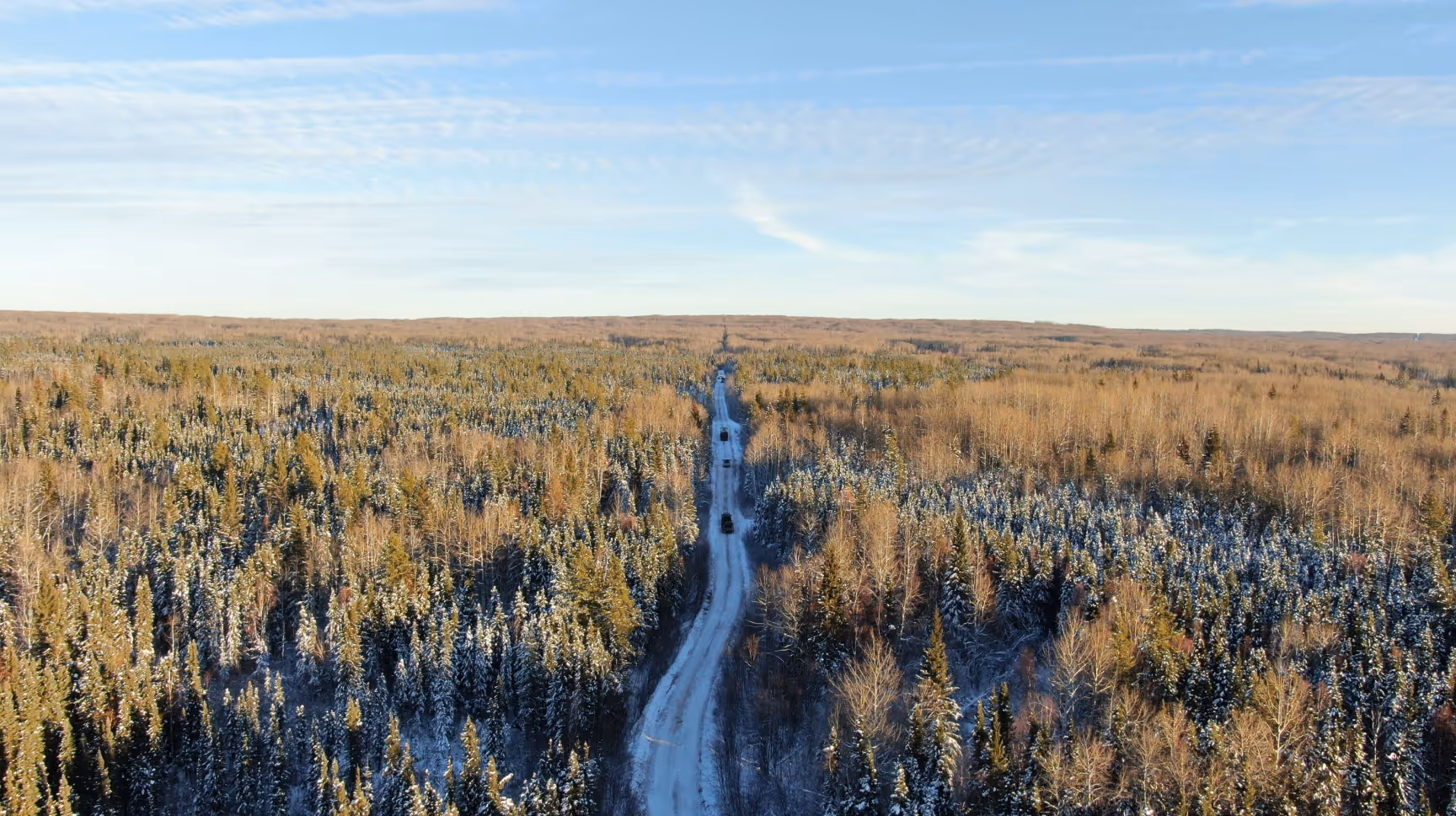road in the forest