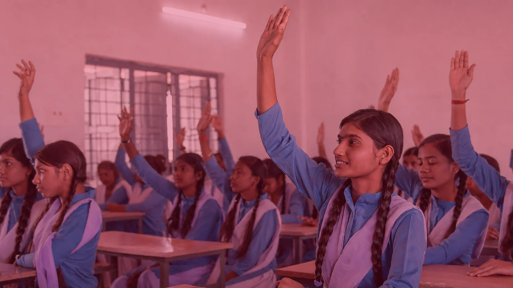 A group of girls learning together