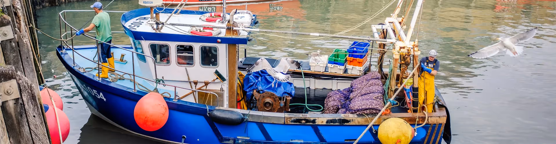 Boat image 