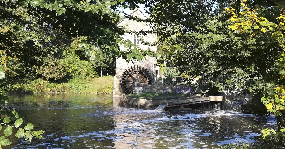 Audit Saint-Grégoire