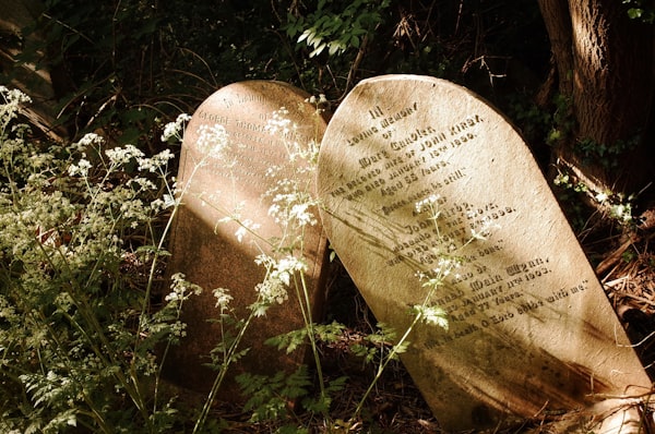 brown wooden heart shaped stone