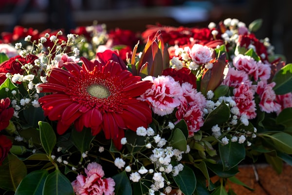 a bunch of red and white flowers sitting on top of a table