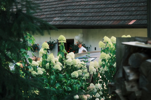 People gathered around a car in a garden