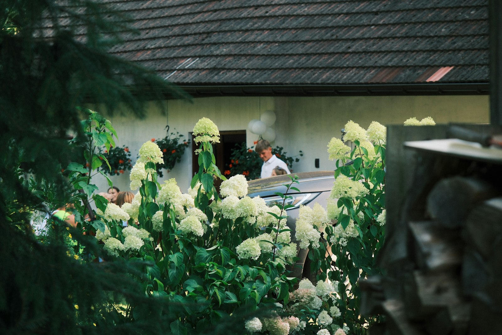 People gathered around a car in a garden