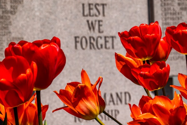 a group of red flowers sitting in front of a memorial