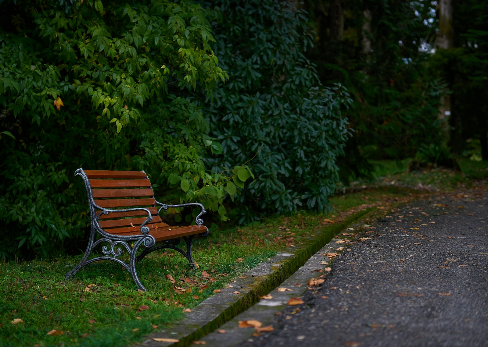 a park bench sitting on the side of a road