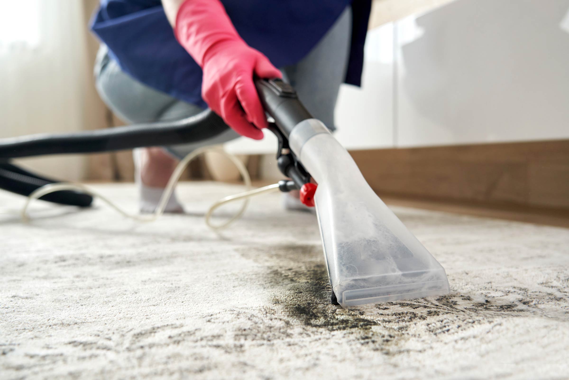 Carpet Cleaners East Sussex