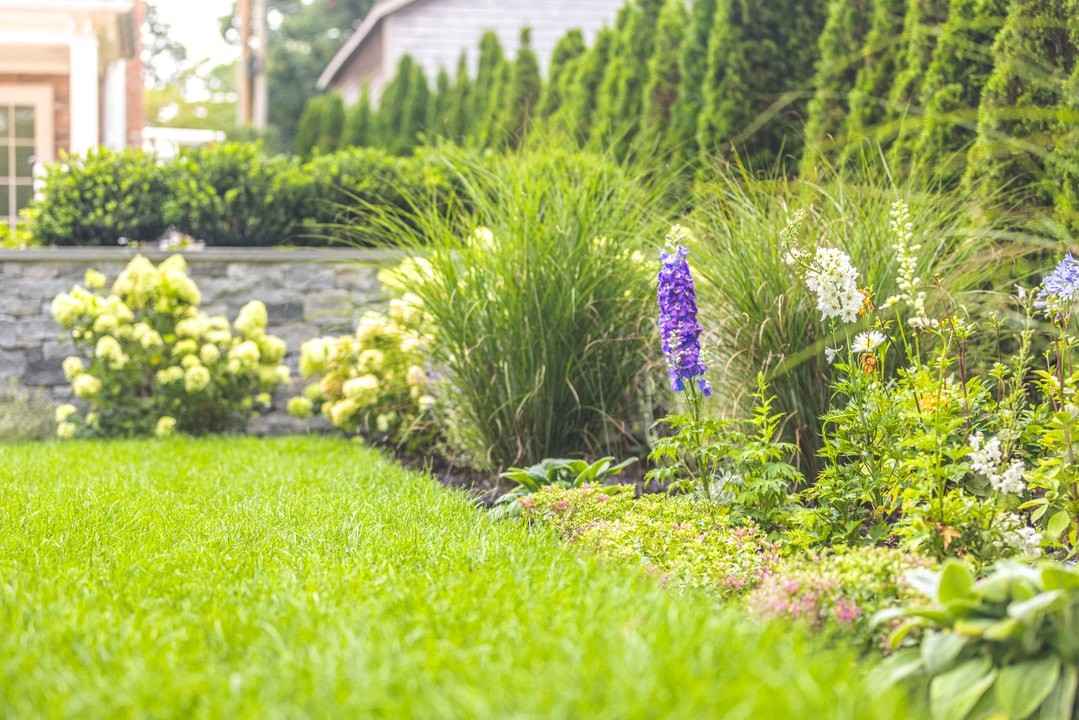 lawn treatment services
