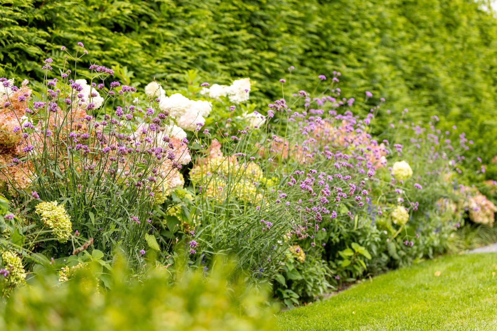Lawn Management Services