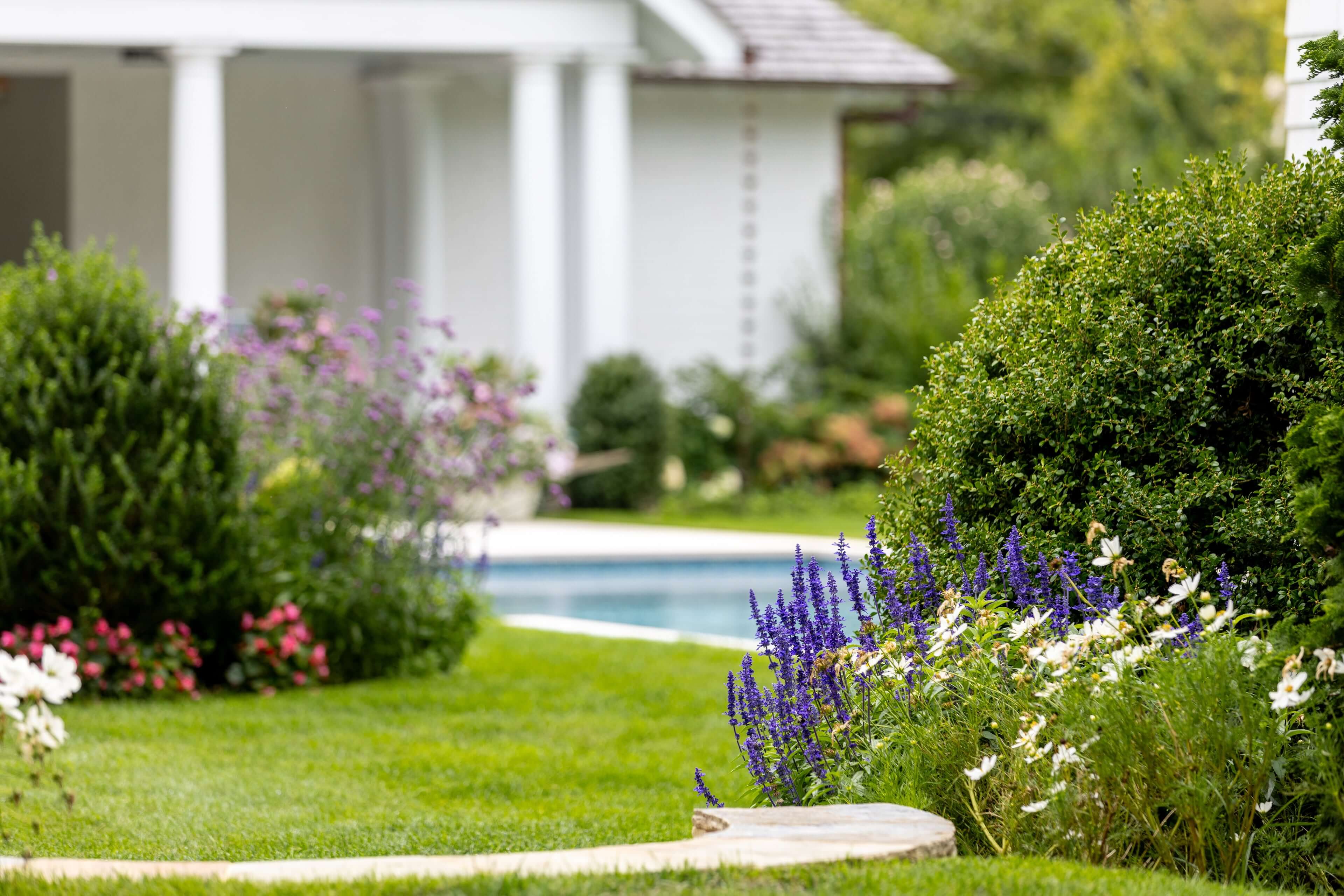 Property Maintenance 