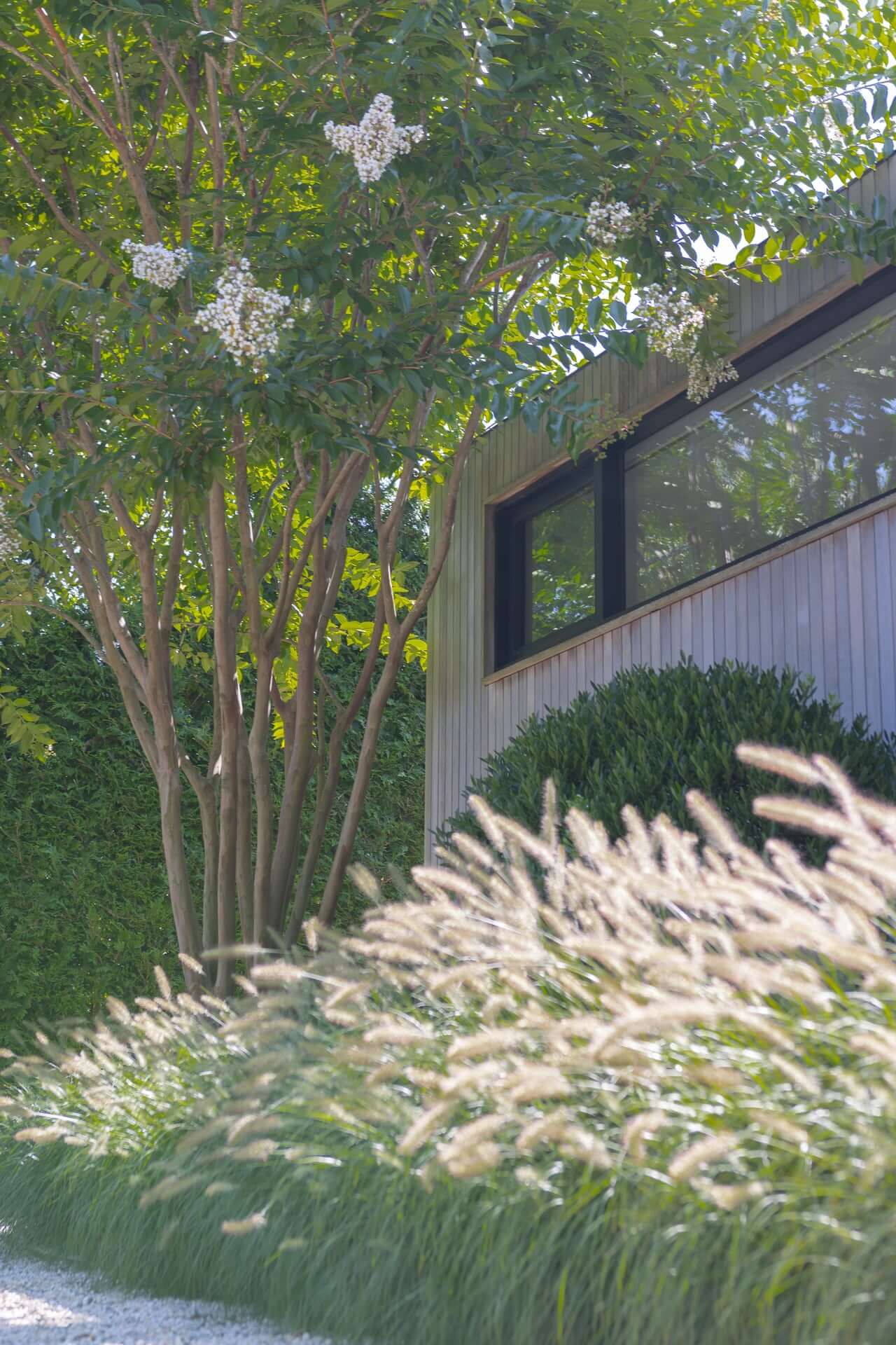 Lawn Management Services in East Hamptons