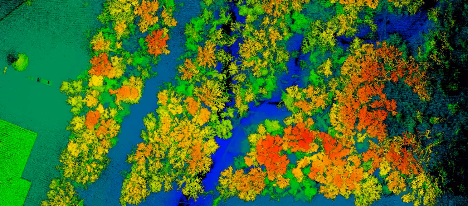 Colorized LiDAR point cloud showing buildings, trees, and ground elevations.