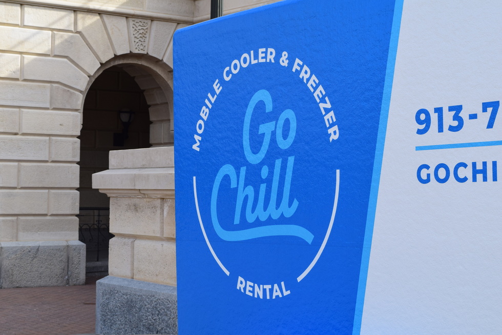 image of go chill freezer