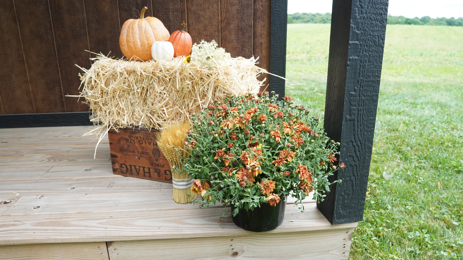 Creative Halloween Décor Ideas for Your Shed