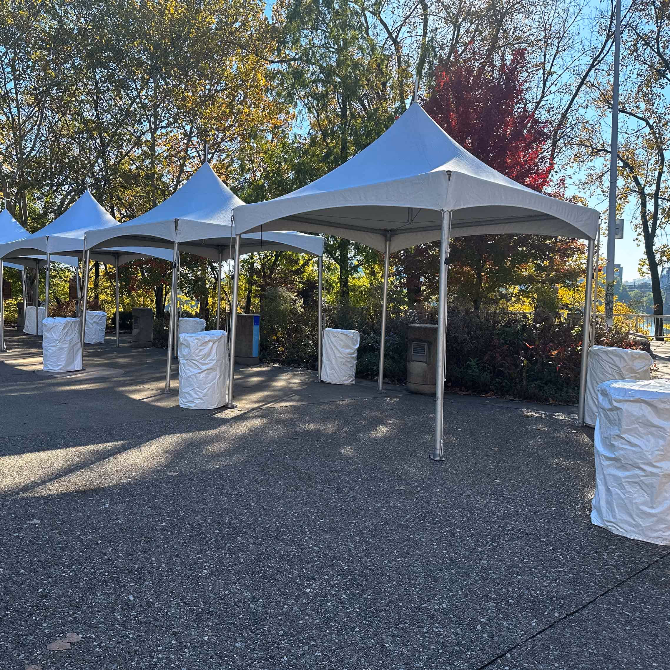 10' x 10' High Peak Frame Tent