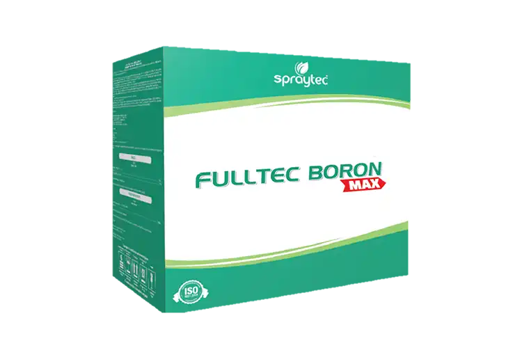 Fulltec Boron Max by Spraytec Fulltec
