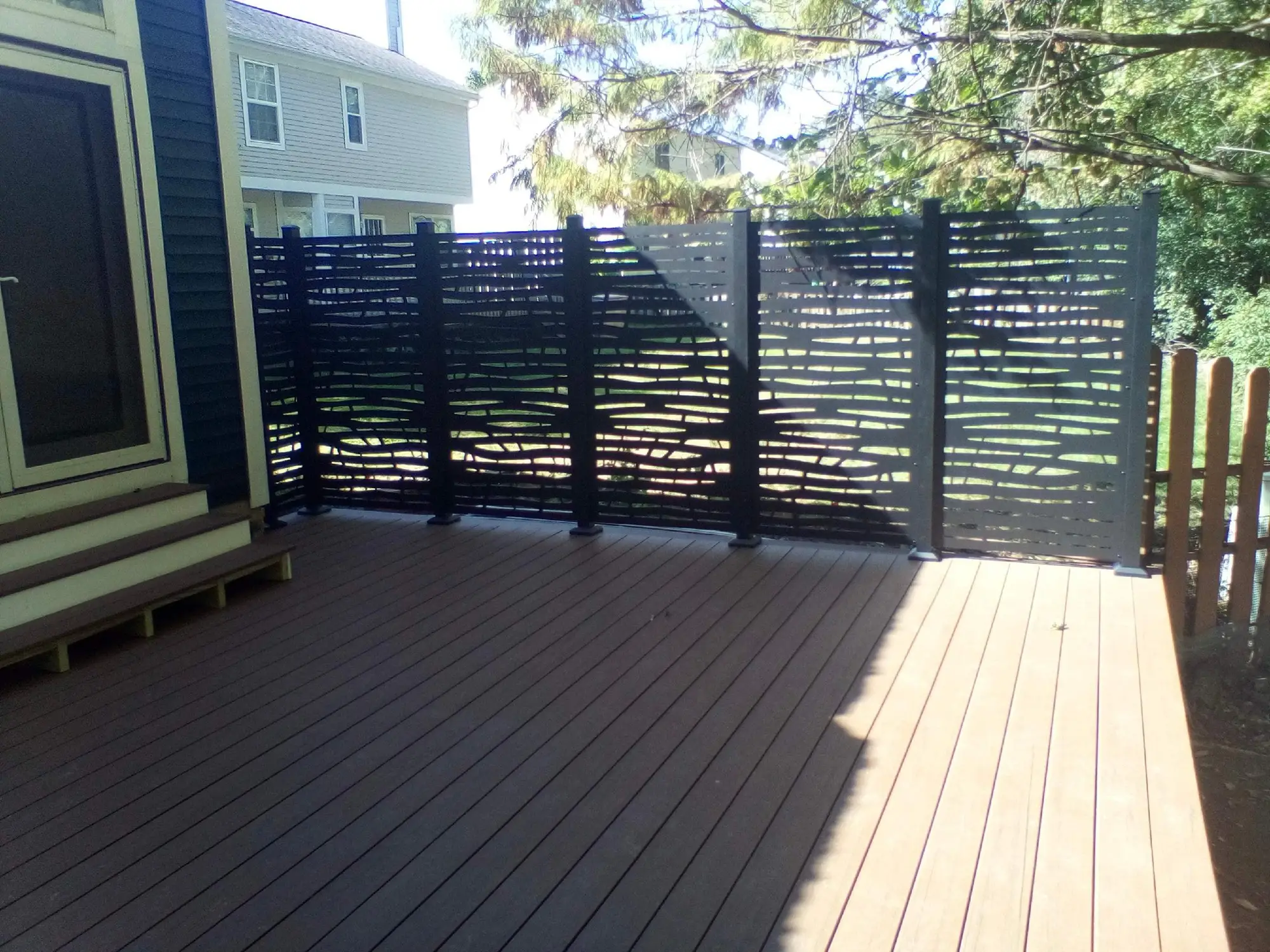 Schoenfeld, Sandy - Photo