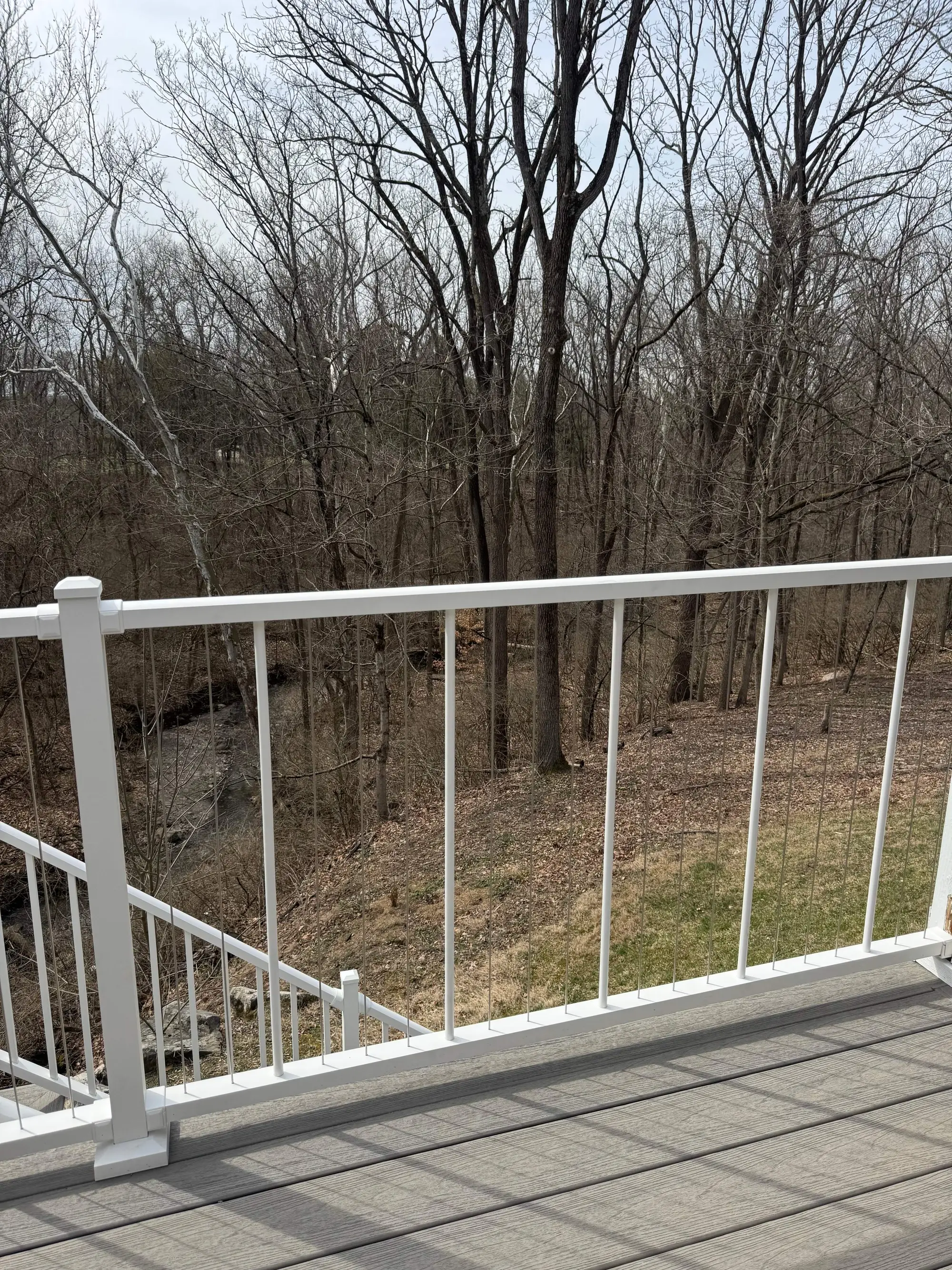 Musson, Cindy and Greg - Photo