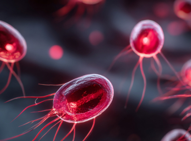 Lyme Disease Is Trending—So Is Light Therapy. Coincidence?