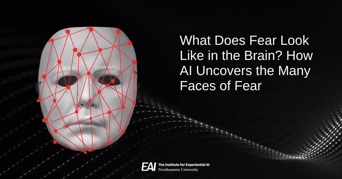 What Does Fear Look Like in the Brain? How AI Uncovers the Many Faces of Fear
