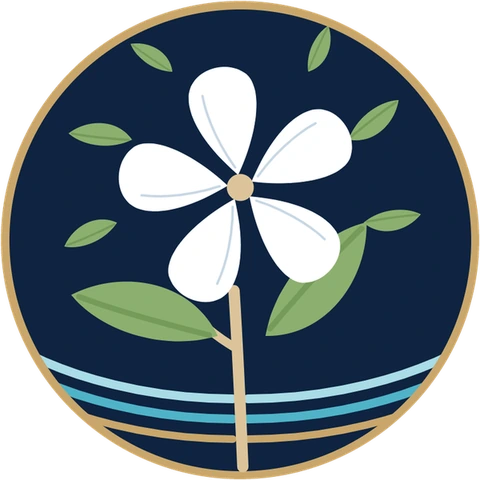 Plumeria Credit logo