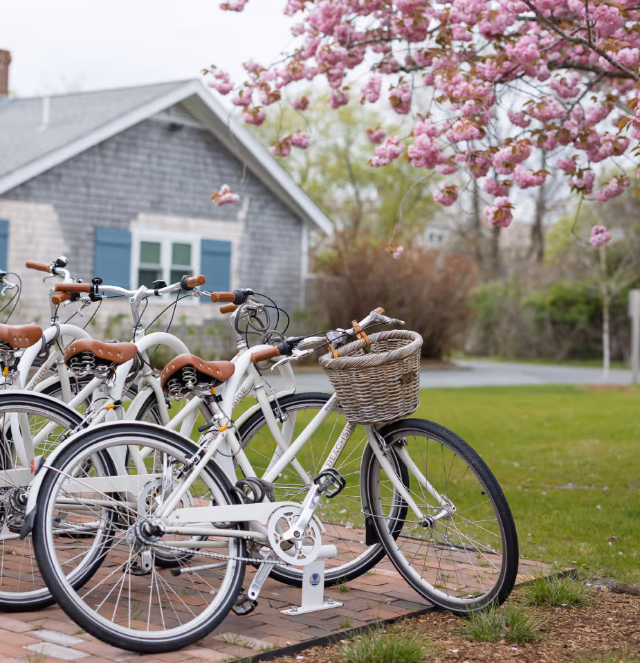Several white bicycles with baskets are parked on a brick path near a blooming tree and a house with gray siding.