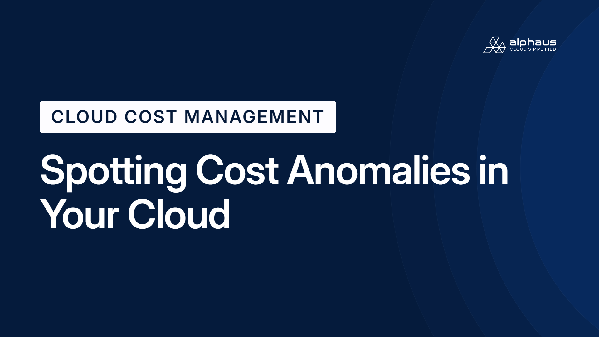 Spotting Cost Anomalies in Your Cloud